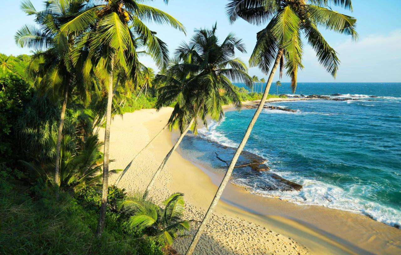 Eva Lanka Hotel - Beach & Wellness Tangalle Exterior photo